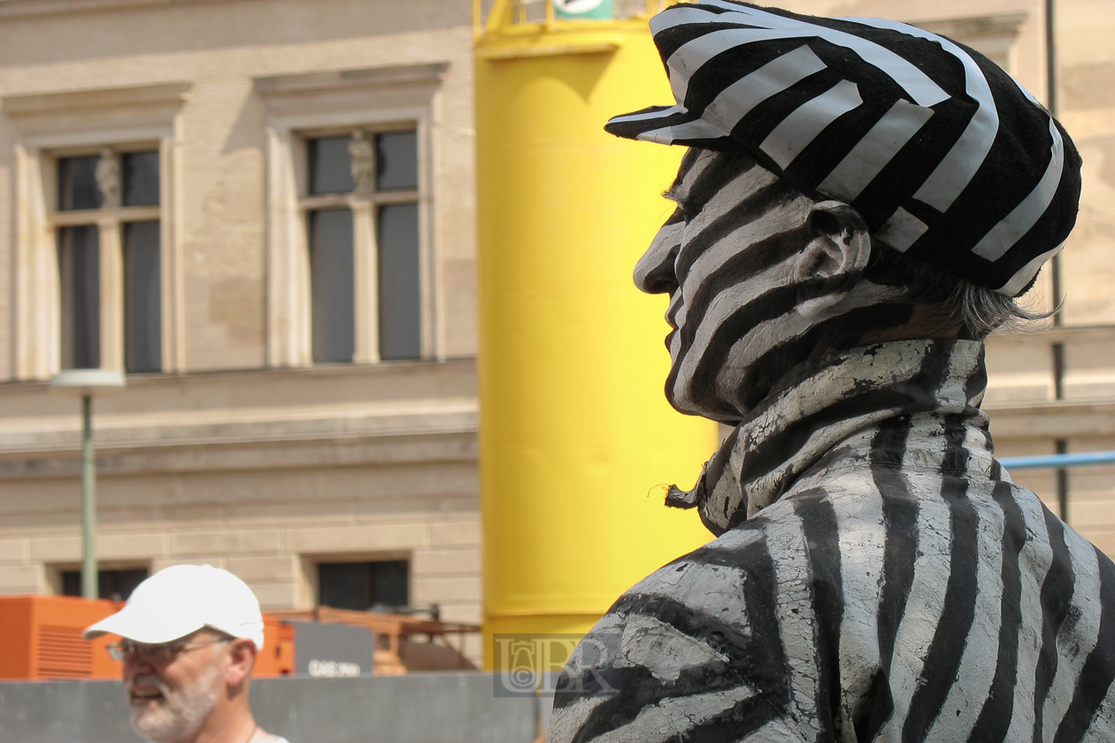 zebra_mann