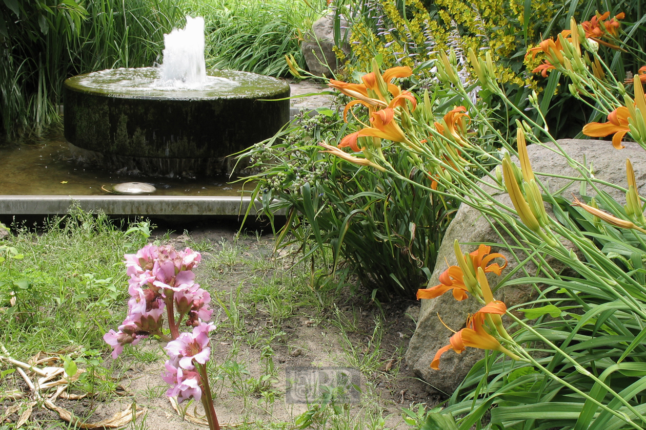55_garten_brunnen_03