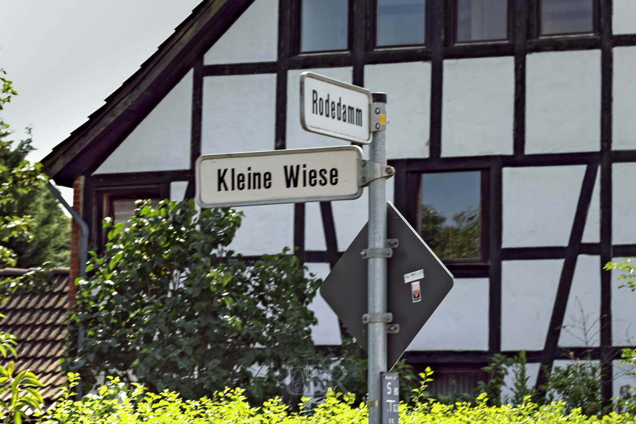 07_lamme_02_kleine_wiese