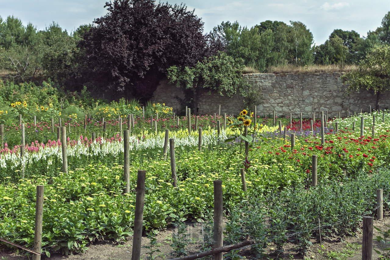 08_r-hausen_klostergarten_02