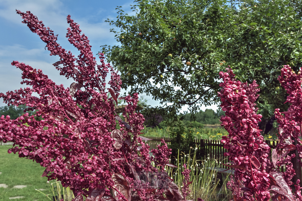 08_r-hausen_klostergarten_03