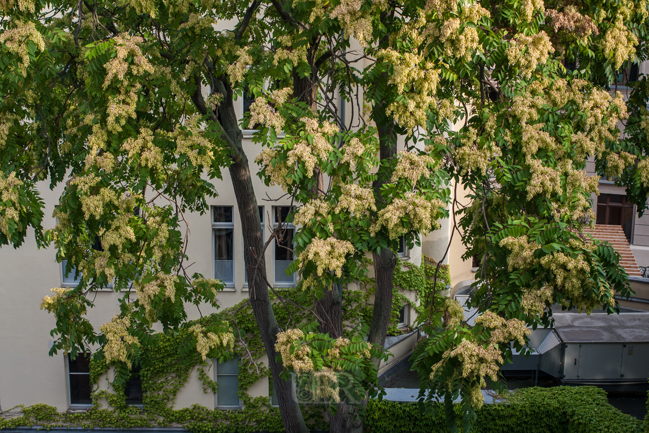 Ausblicke aus der Wohnung 'Am Kaulenberg'