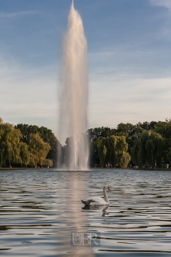 Fontäne auf der Ziegelwiese an der Saale