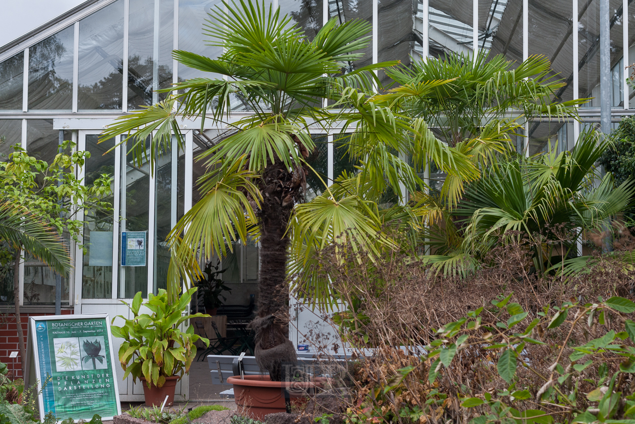 Der Botanische Garten der Uni