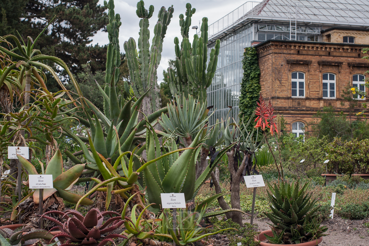 Der Botanische Garten der Uni