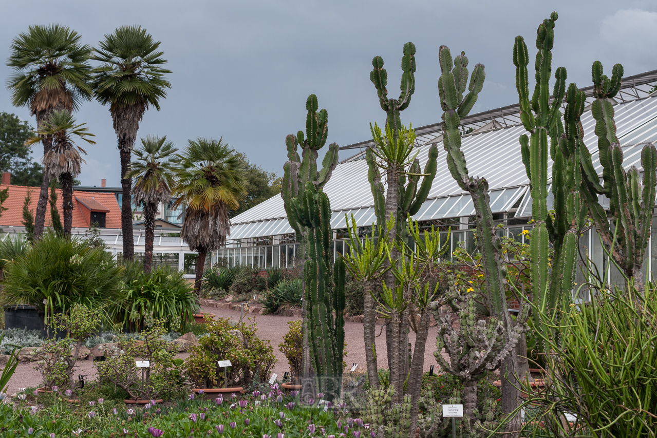 Der Botanische Garten der Uni