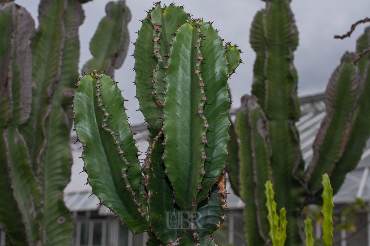 Der Botanische Garten der Uni