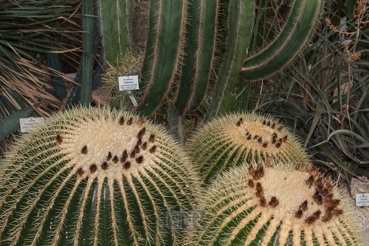 Der Botanische Garten der Uni