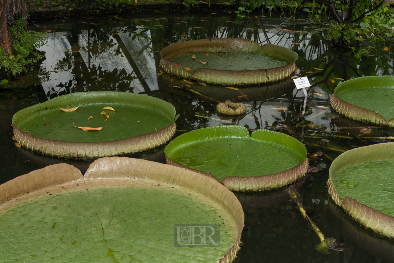 Der Botanische Garten der Uni