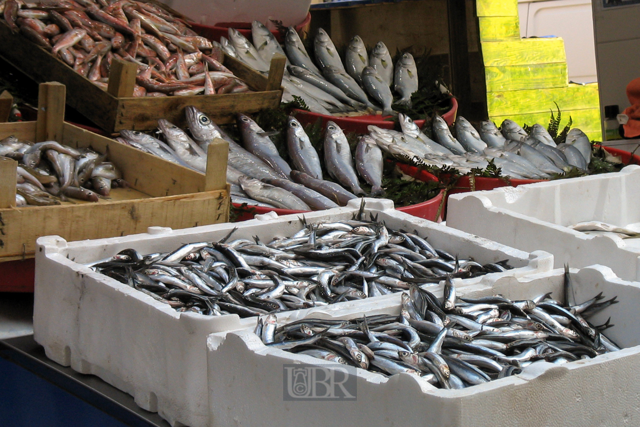 Istanbul liegt am Meer und der Fisch ist frisch
