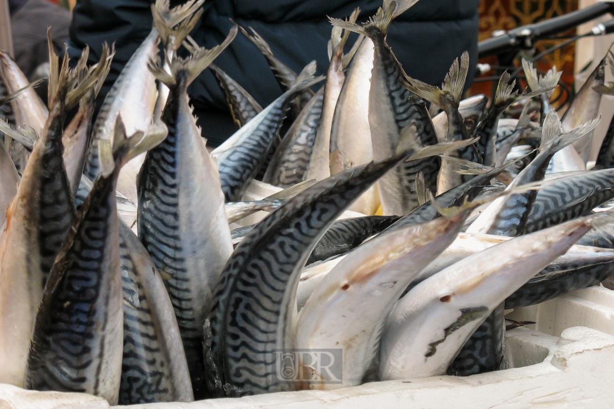 Istanbul liegt am Meer und der Fisch ist frisch