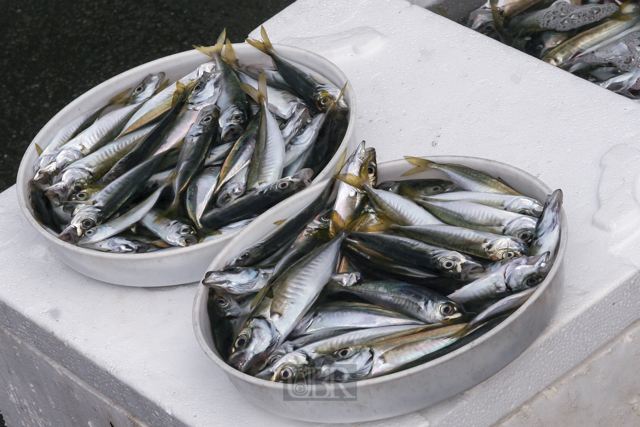 Istanbul liegt am Meer und der Fisch ist frisch