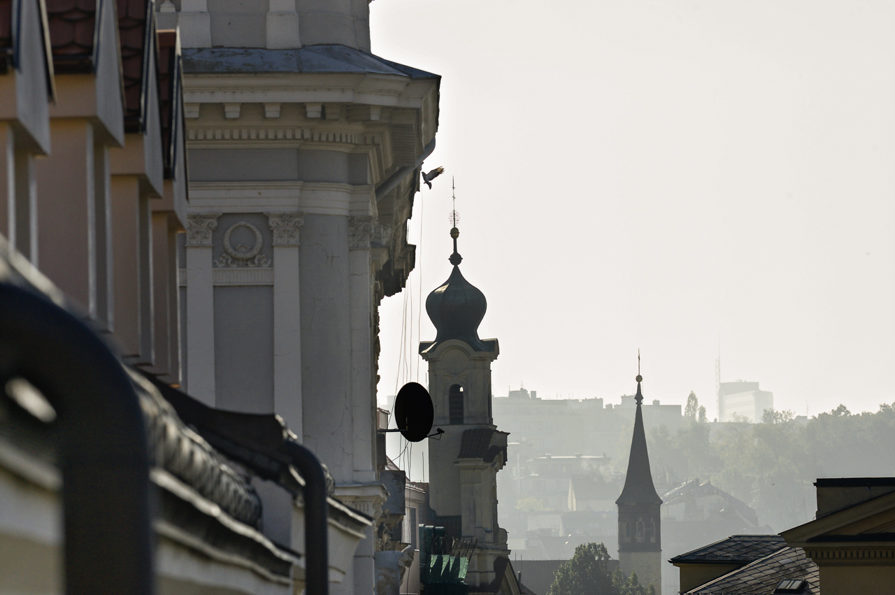 vysehrad_fensterblick_01