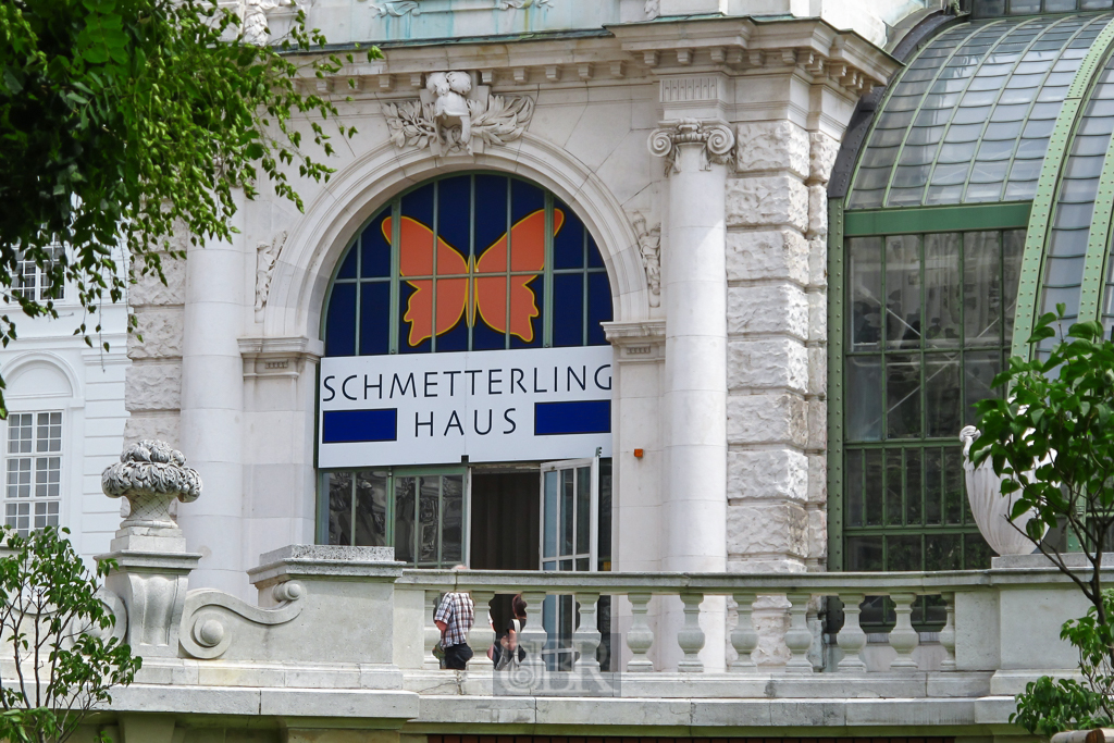 wien_palmenhaus_3_schmetterling