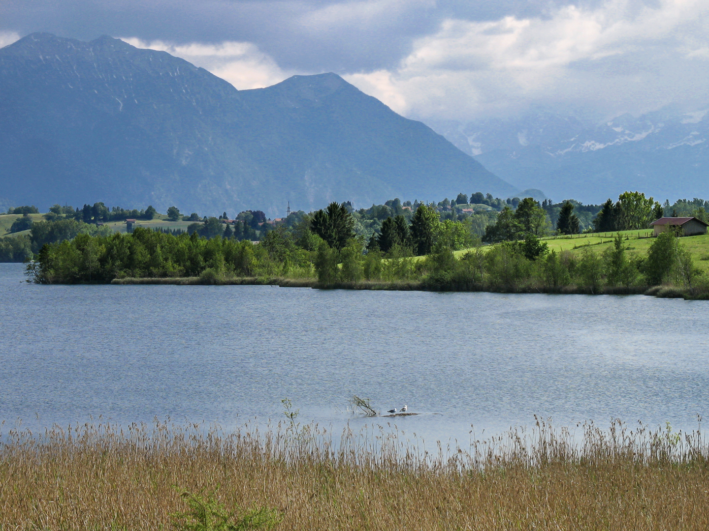 Landschaft am Riegsee