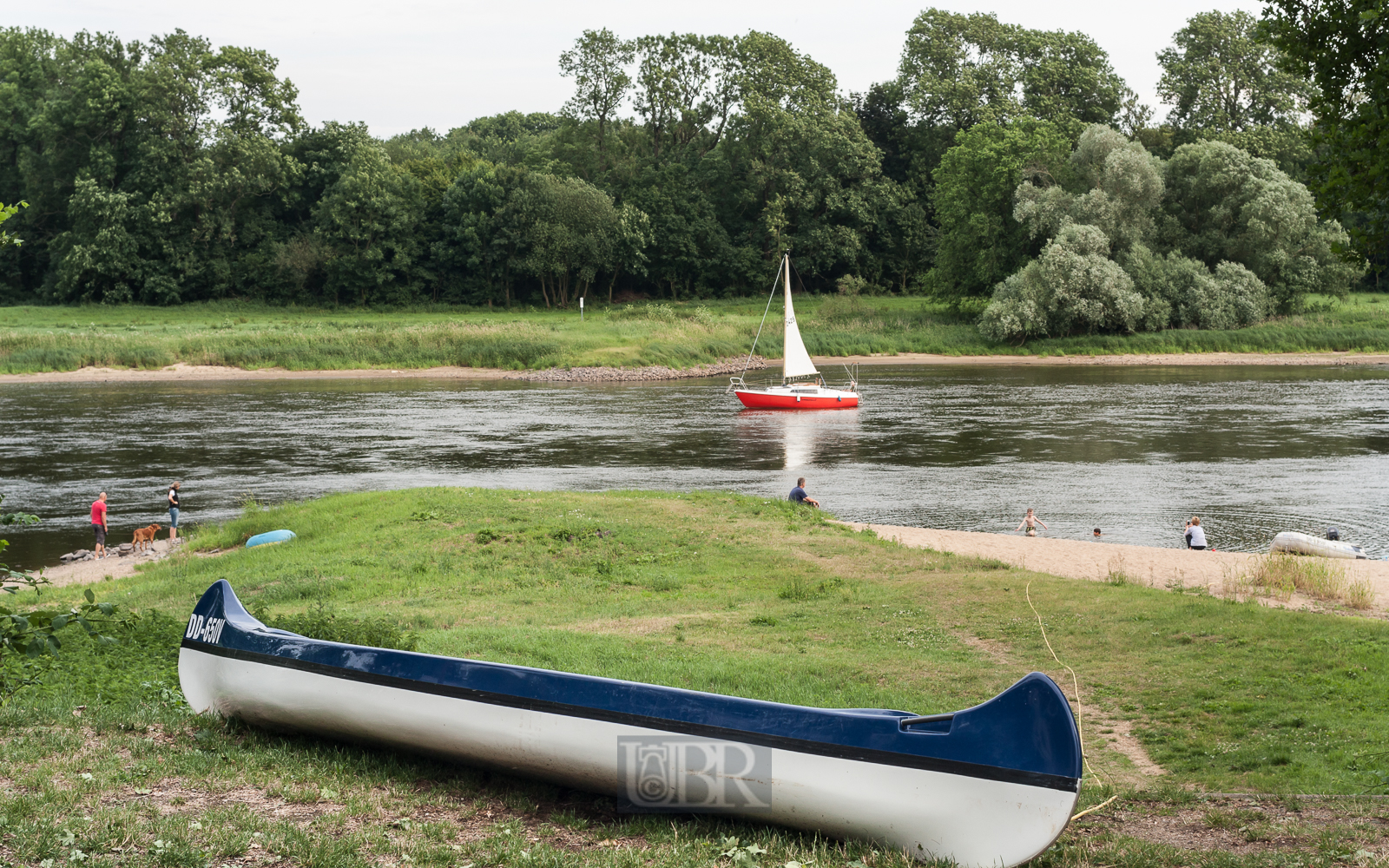 Die Elbe bei Coswig - Sachsen-Anhalt