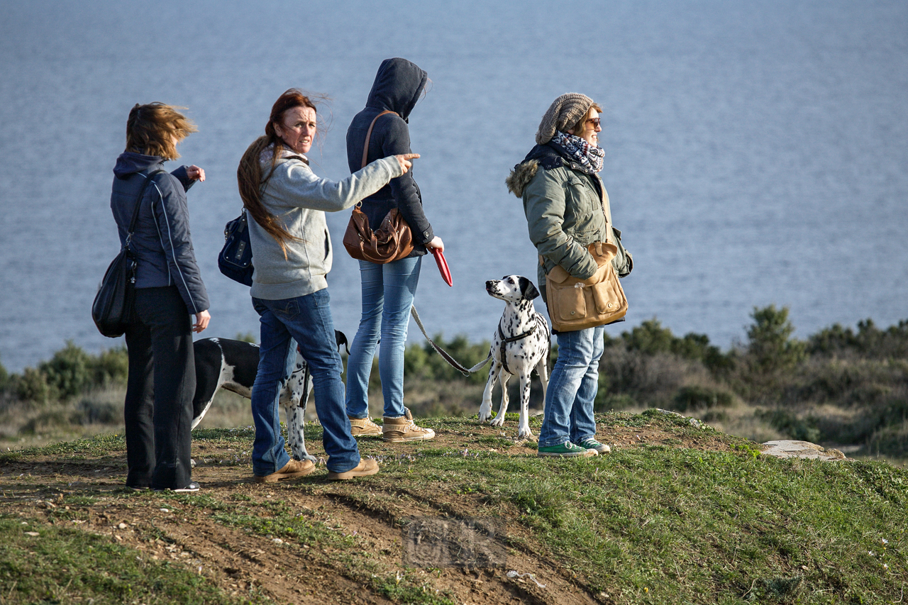 rovinj_41_dalmatiner