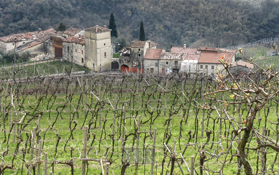 valpolicella_03_cavalo_weinbau