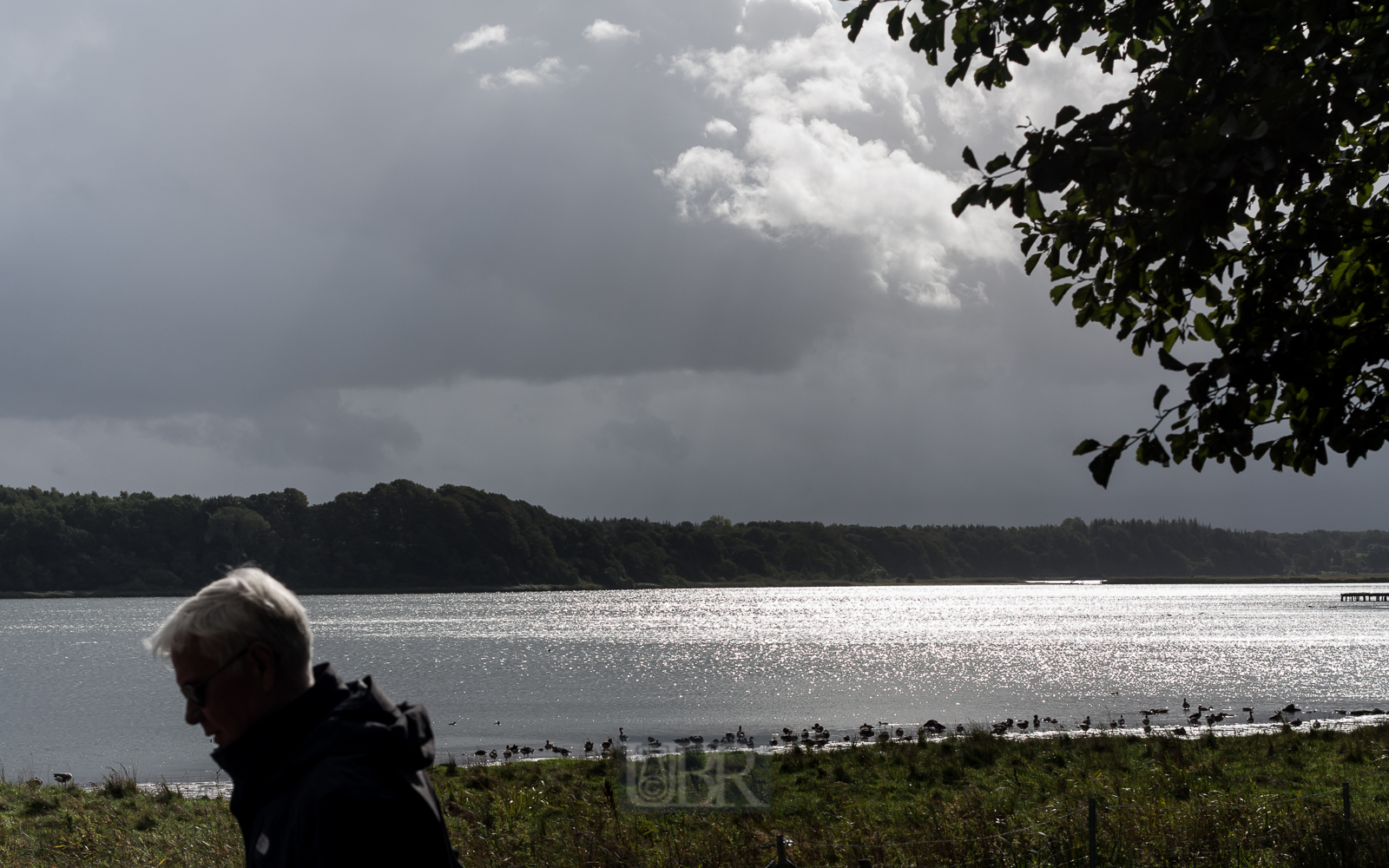 Dunkle Wolken über der Schlei