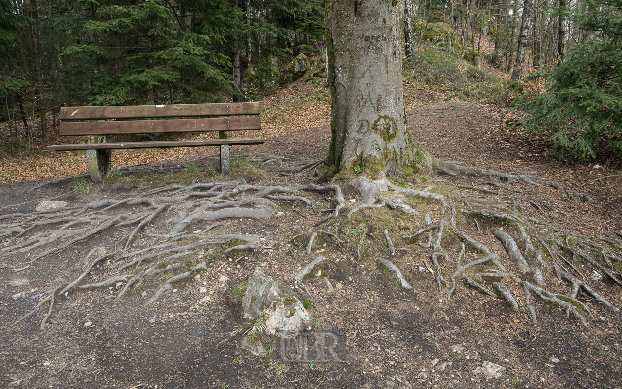 ruine_schwaerzenberg_05