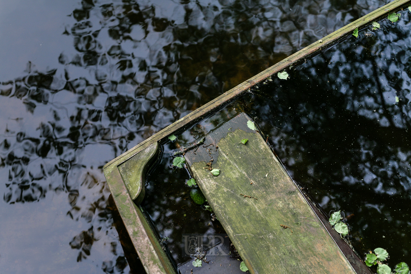 boot_frank_02