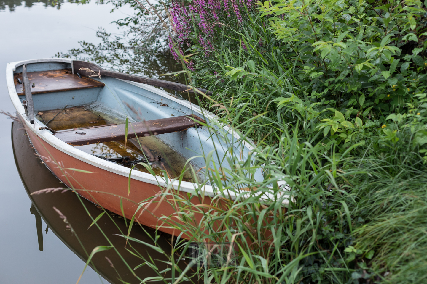 ruderboot_hammersee