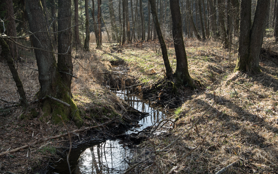 Kleiner Zufluss zum See