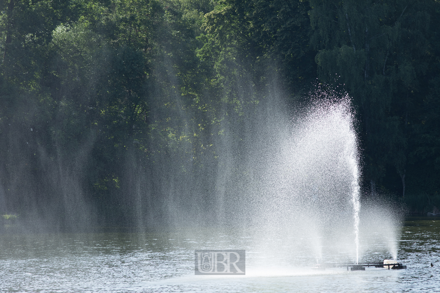Fontaine wie am Genfer See