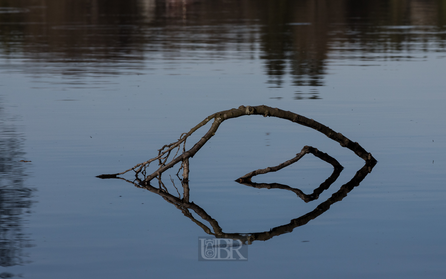 Der See schluckt den Ast