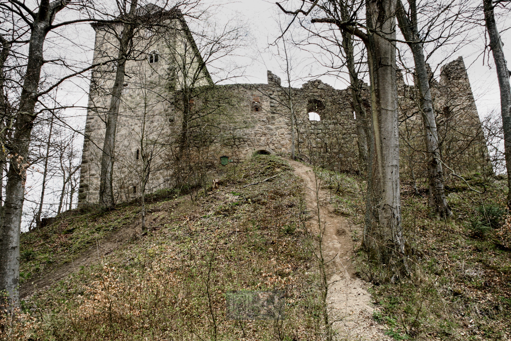 Burgruine Stockenfels hoch über dem Regental