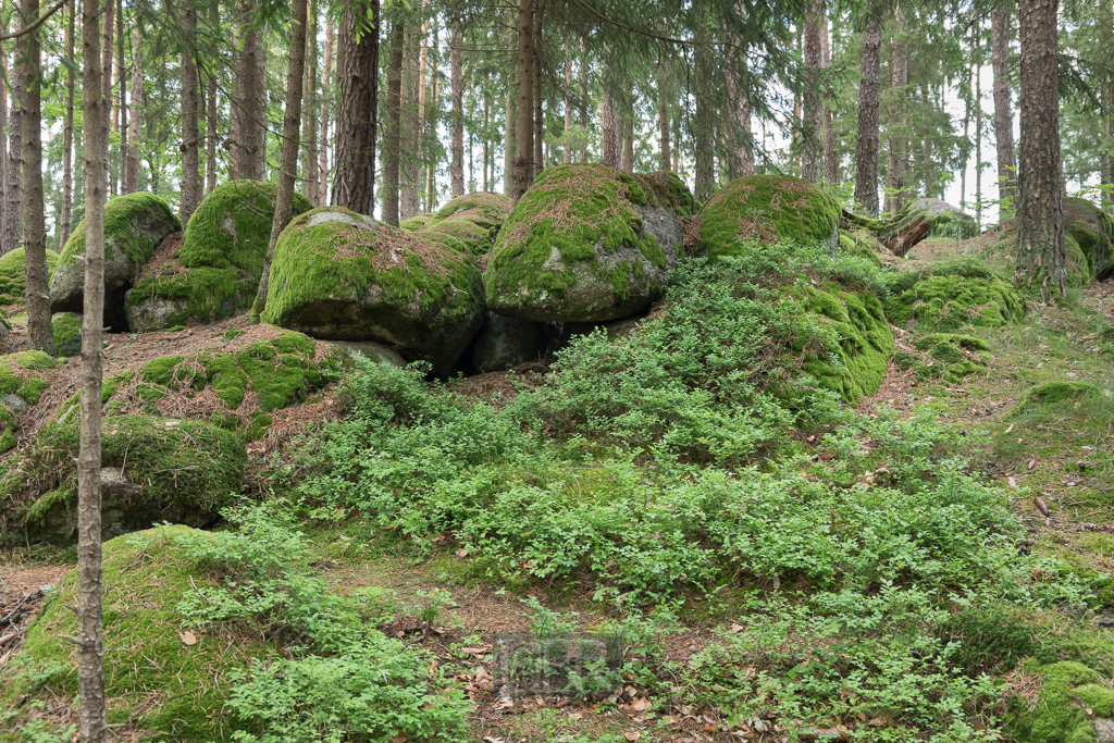 Steine und Bäume als Grabstellen benutzt oder reserviert