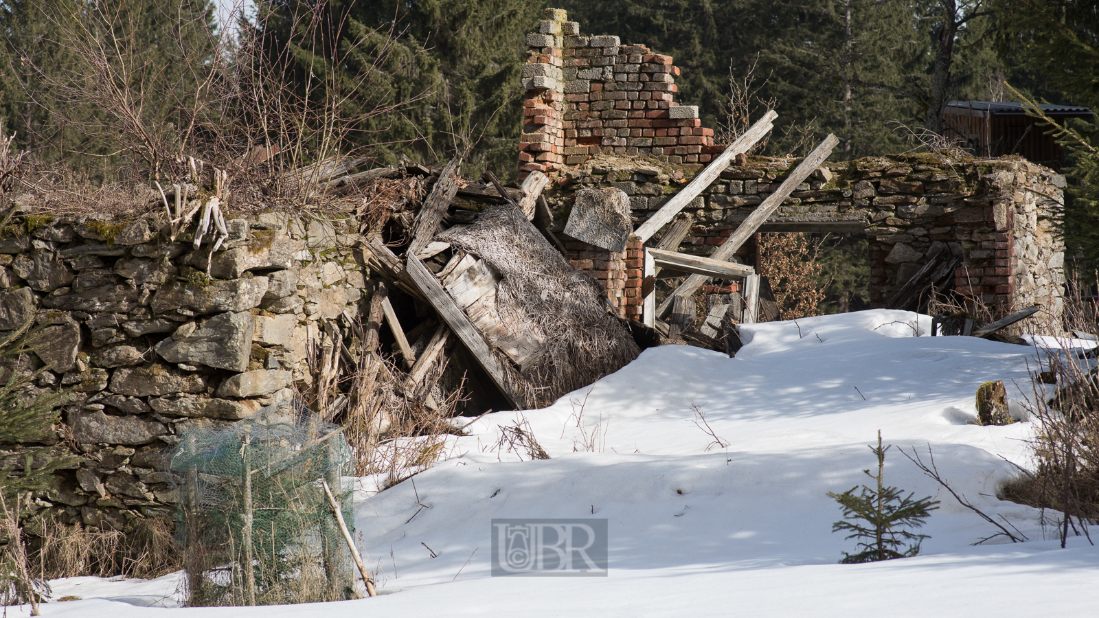buegellohe_bei_stadlern_12