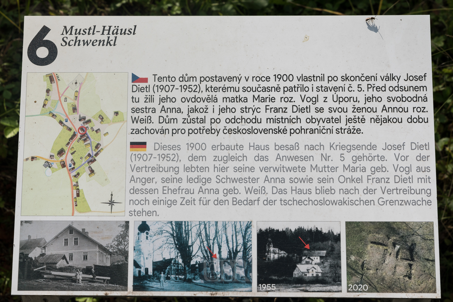 grafenried_lucina_6