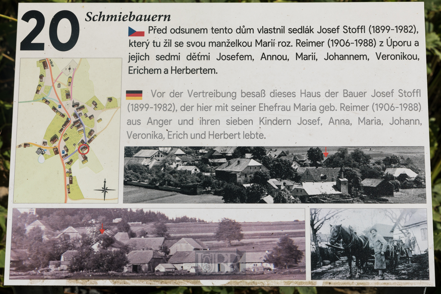 grafenried_lucina_7
