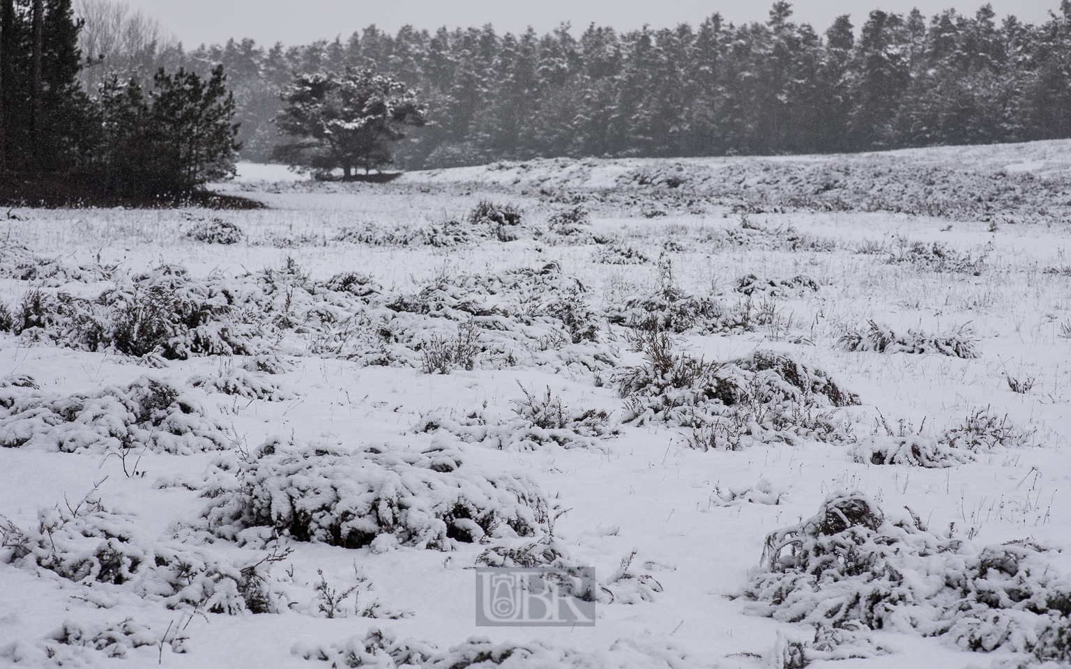 heide_bowoe_im_schnee_02