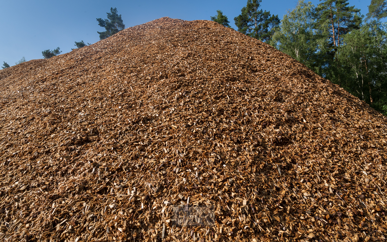 rindenmulch_auf_uebungsplatz_02