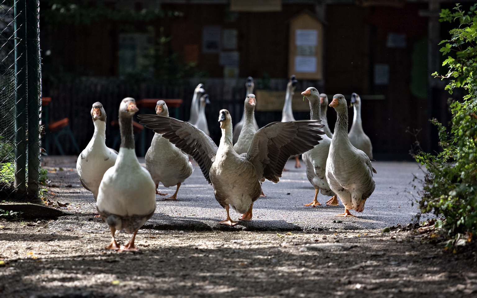 Teublitz - Naturpark Höllohe