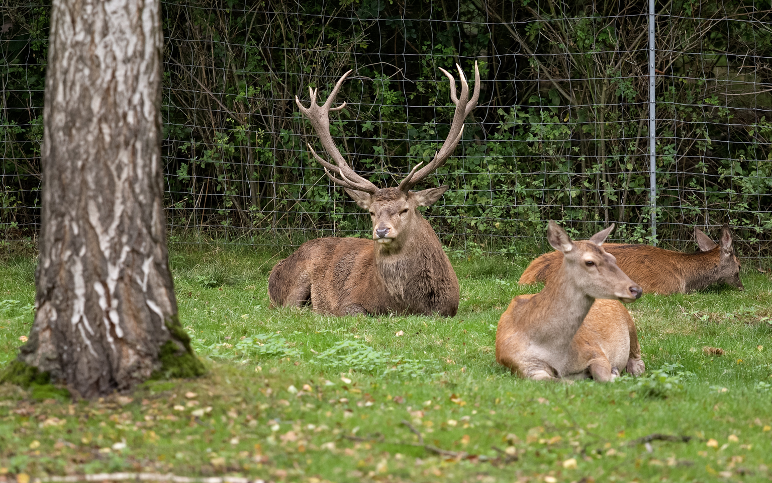 Teublitz - Naturpark Höllohe