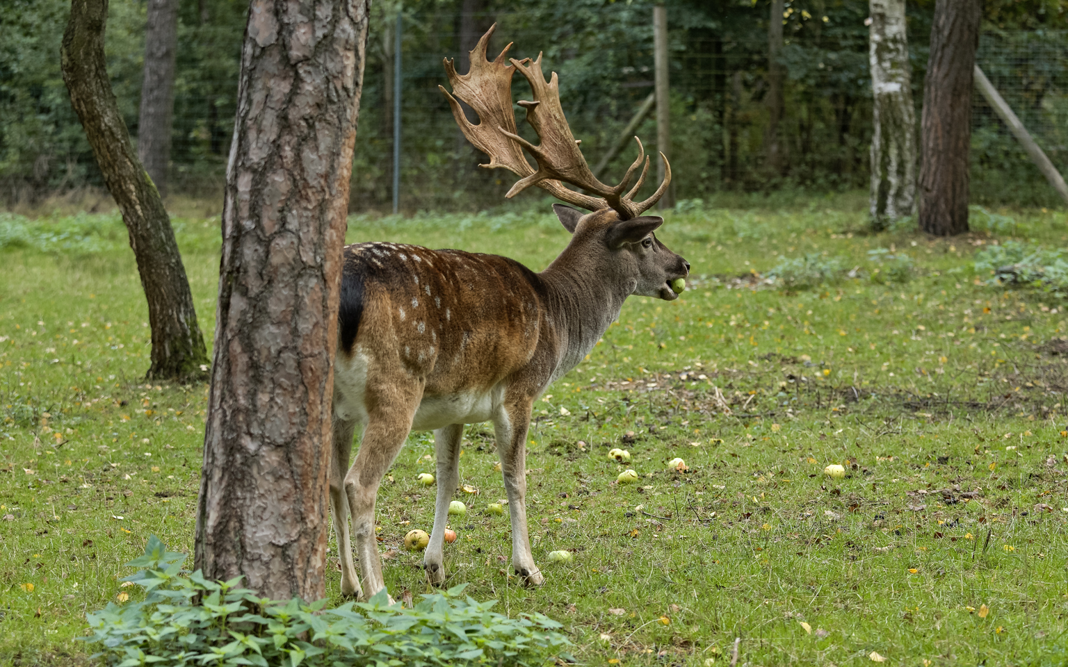 Teublitz - Naturpark Höllohe