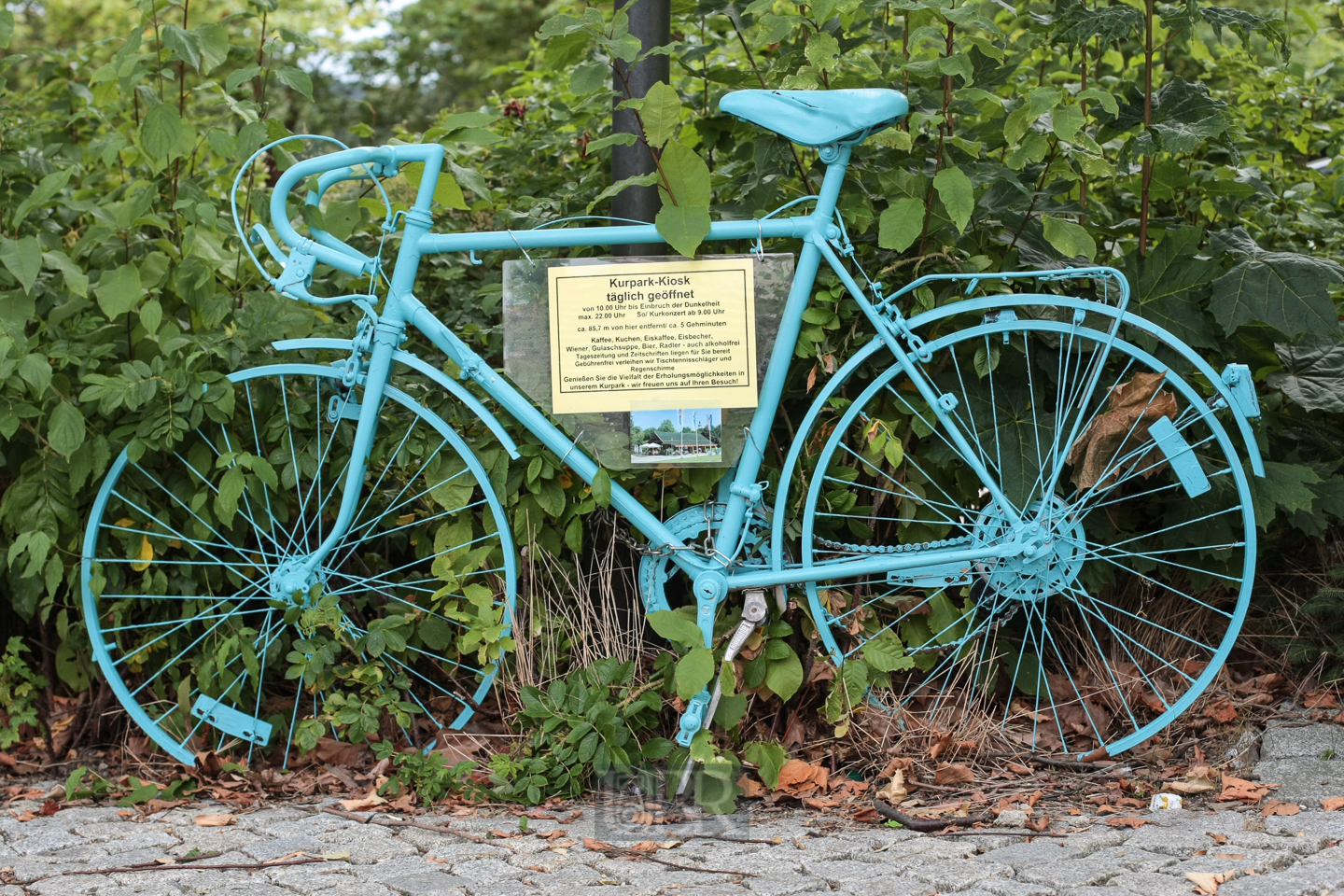 fahrrad_am_kurpark