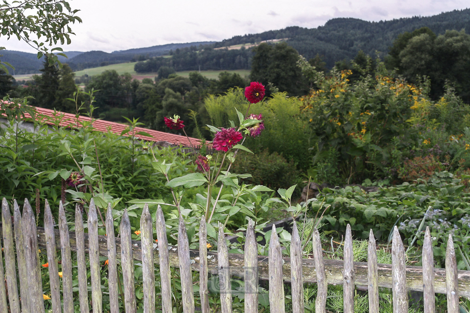 Im Kreislehrgarten in Walderbach am ehemaligen Kloster