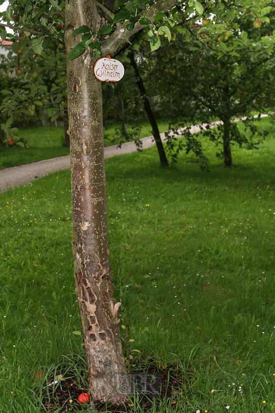 Im Kreislehrgarten in Walderbach am ehemaligen Kloster