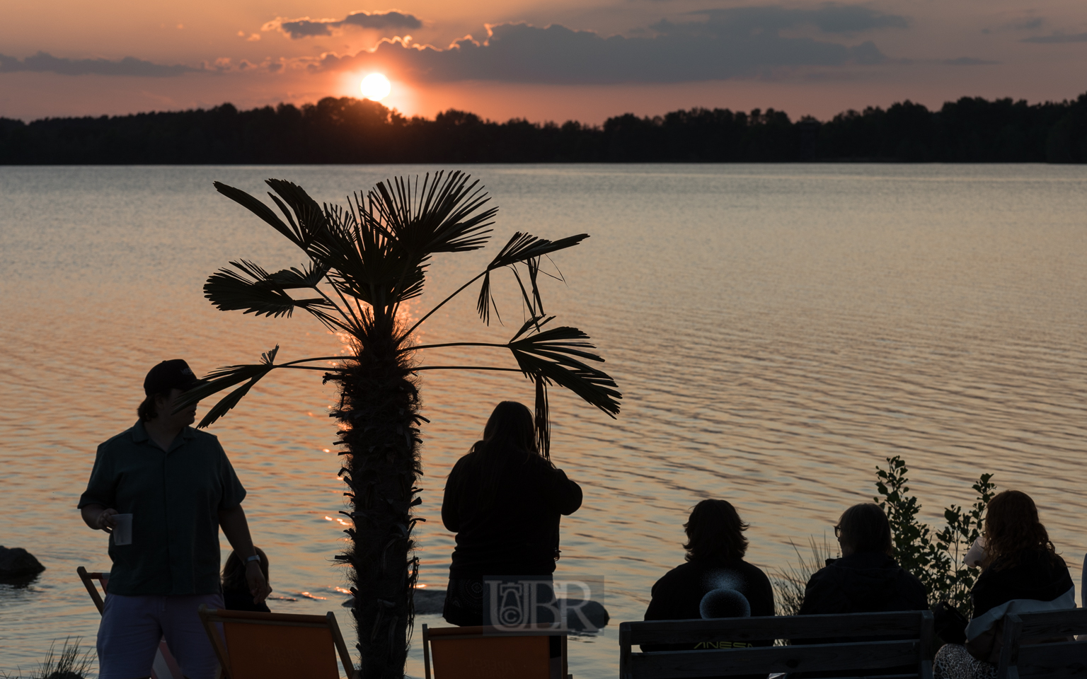 Aufnahmeeinstellungen:    100 mm   1/250 Sek. bei f / 8,0   ISO 200