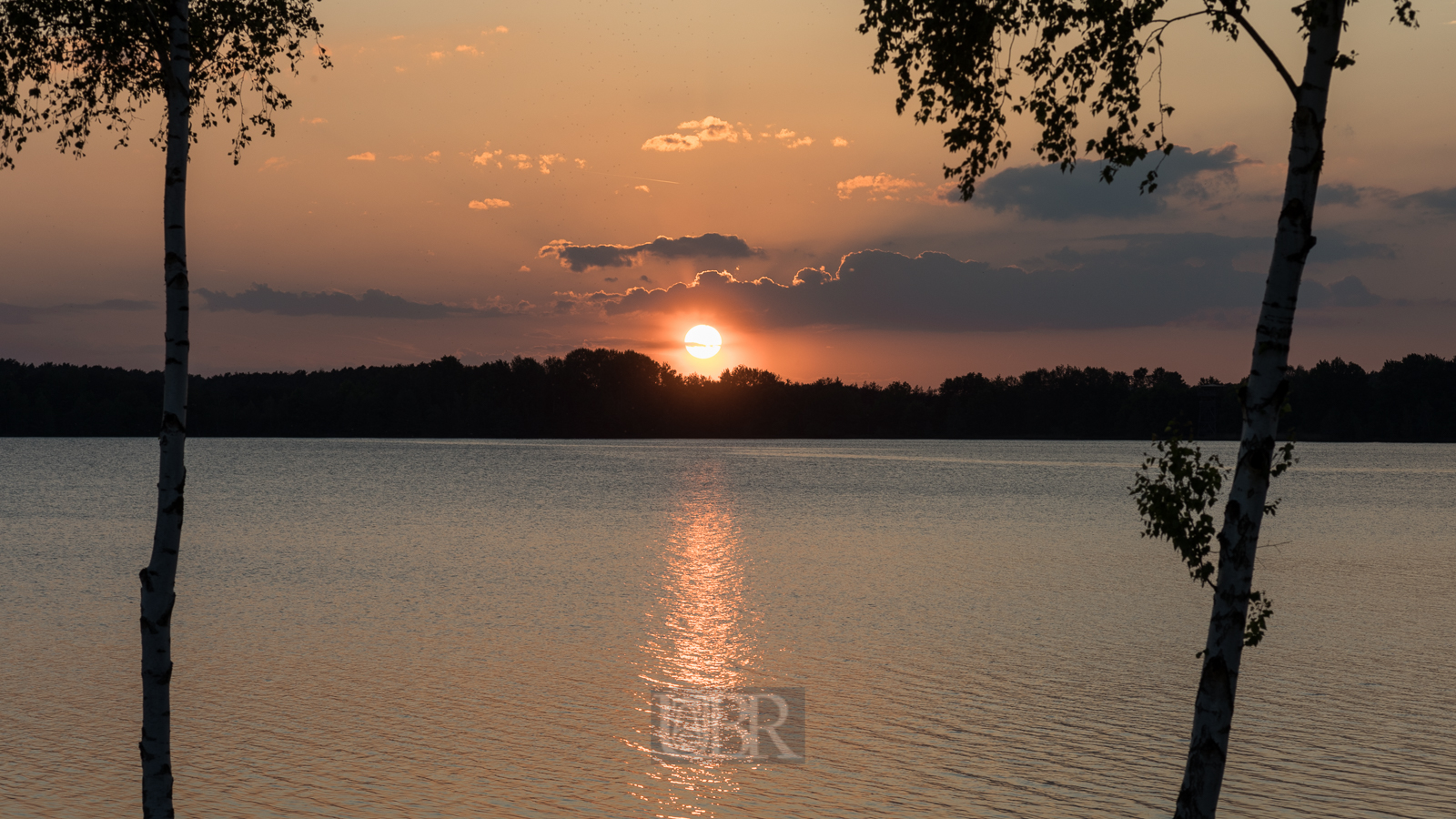 Aufnahmeeinstellungen:    100 mm   1/250 Sek. bei f / 8,0   ISO 200