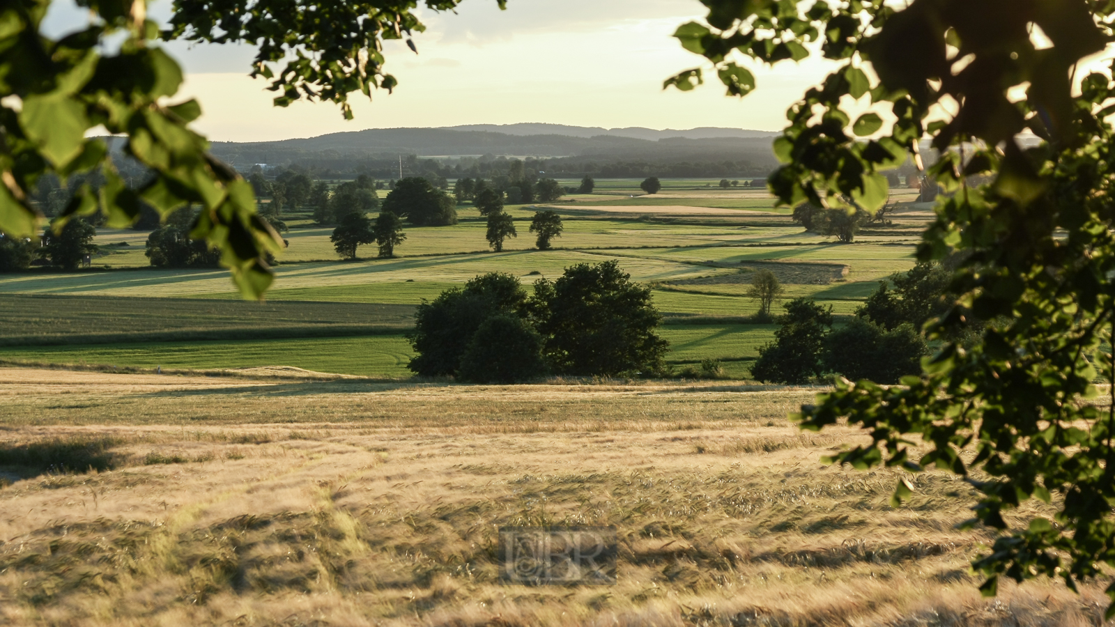 Aufnahmeeinstellungen:    55 mm   1/180 Sek. bei f / 5,6   ISO 100