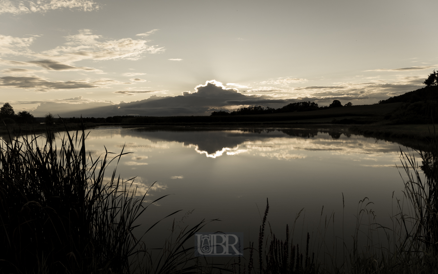 Aufnahmeeinstellungen:    24 mm   1/500 Sek. bei f / 8,0   ISO 125