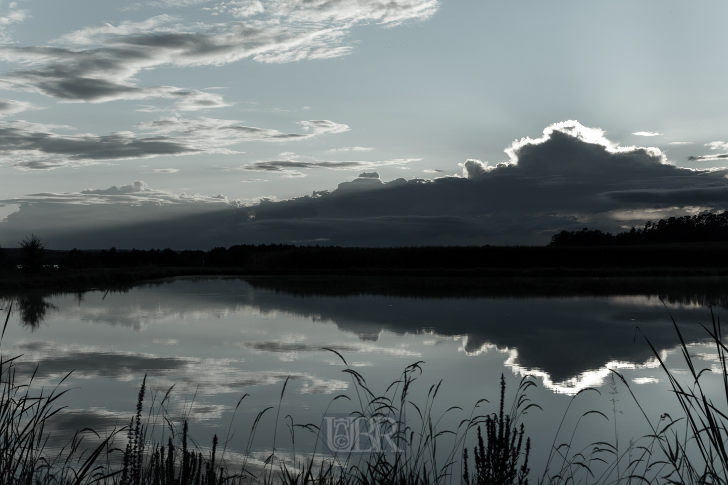 Aufnahmeeinstellungen:    50 mm   1/500 Sek. bei f / 8,0   ISO 100