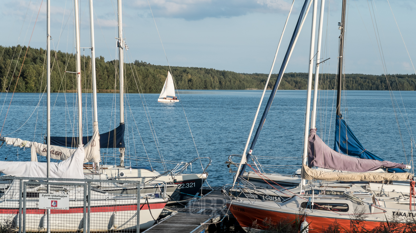 Aufnahmeeinstellungen:    36.8 mm   1/500 Sek. bei f / 5,6   ISO 125