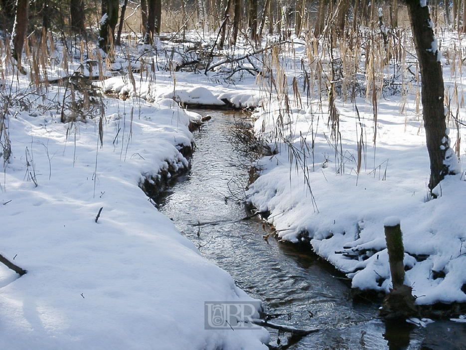 winter_bach_02