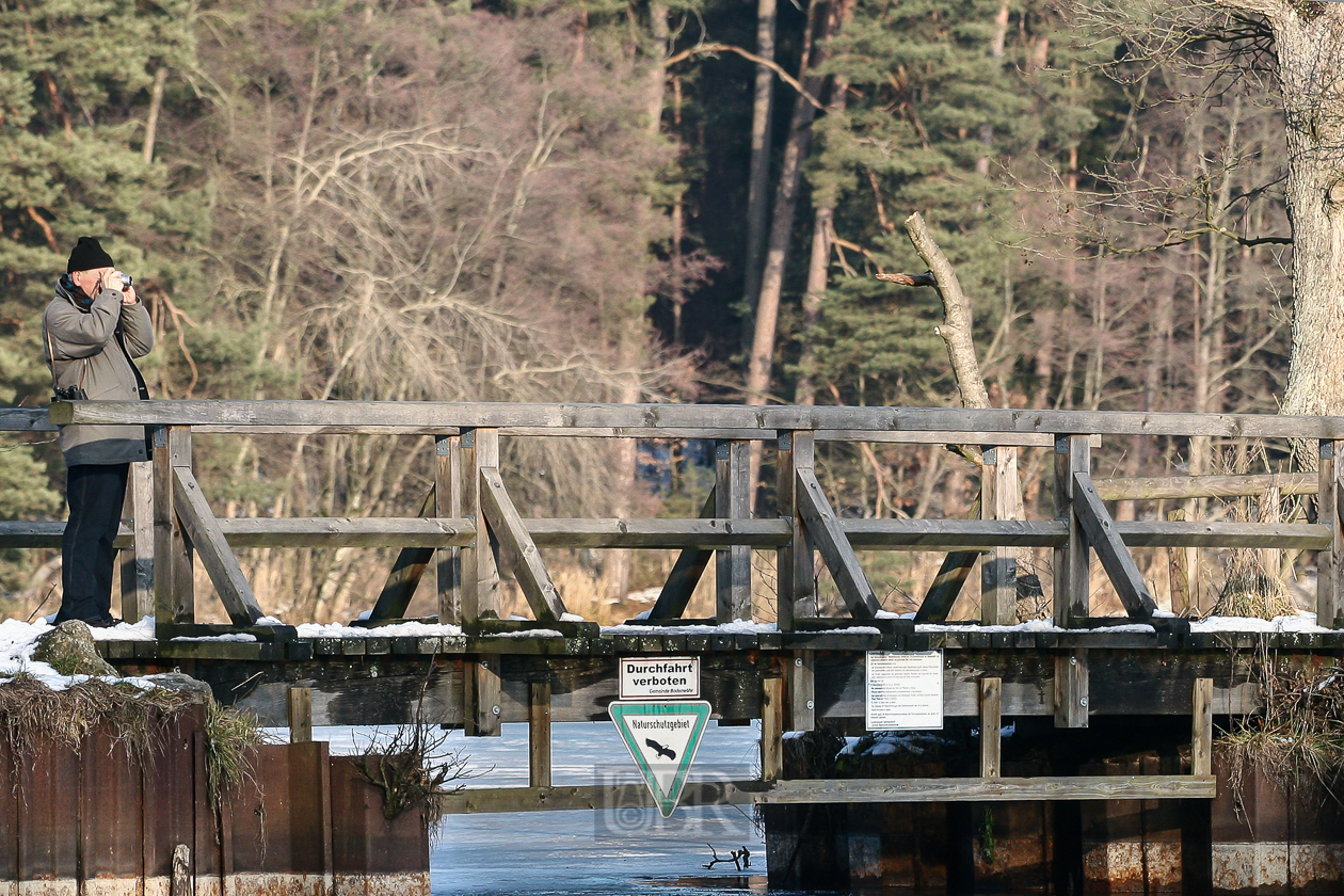 bruecke_mit_mann_151